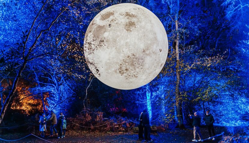 Wellington Country Park - Neverland Illuminova - by Luke Dyson